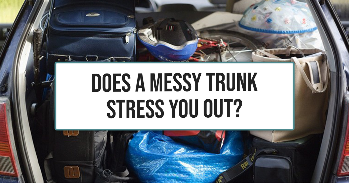 No More Trunk Clutter On Your Car – Avazando